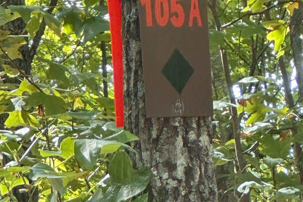 105A
