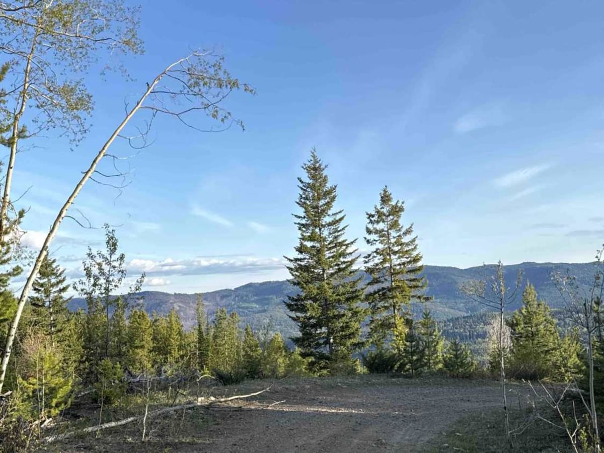 Lean To Forest Service Road photo 4
