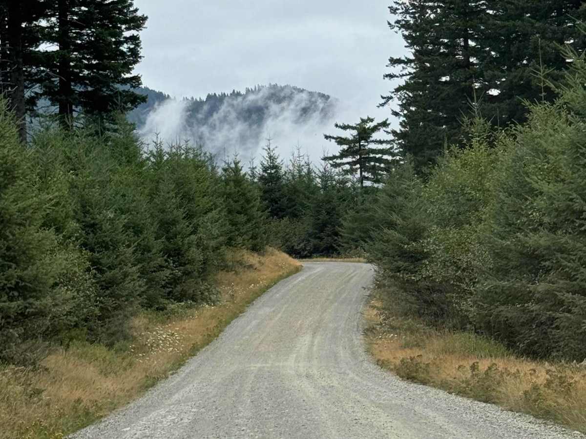 L-1000 trail photo