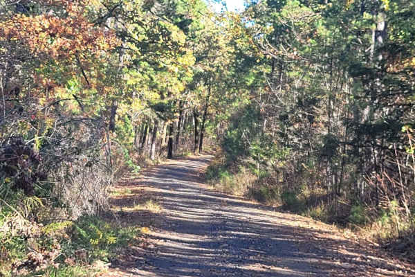 Champ Road to Nella Road