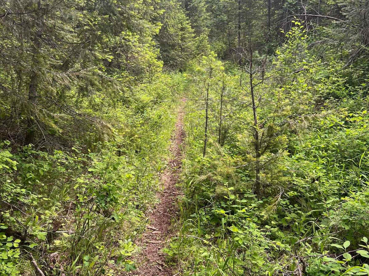 Mill Creek photo 4