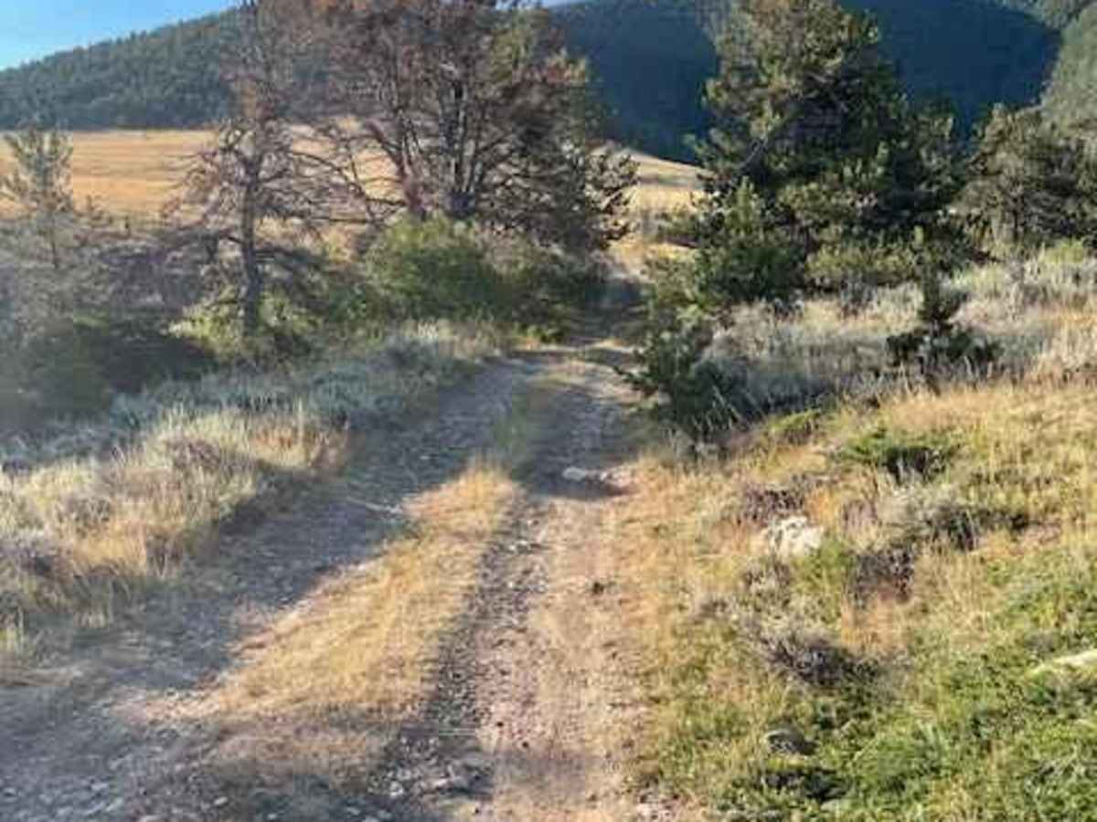 Powerline Road trail photo