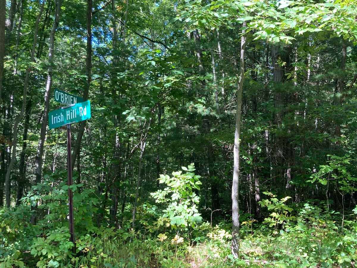 O'Brien Road photo 5