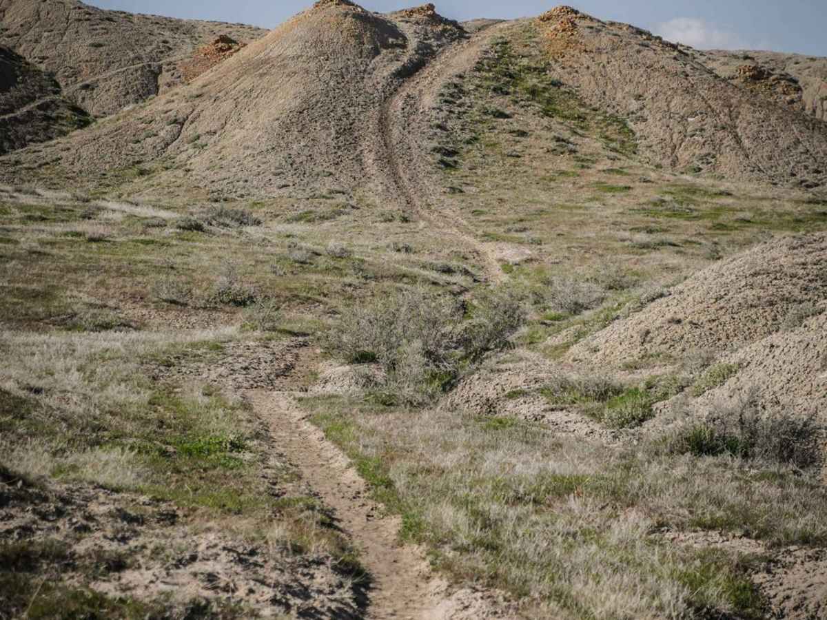 BLM Route 196 photo 3