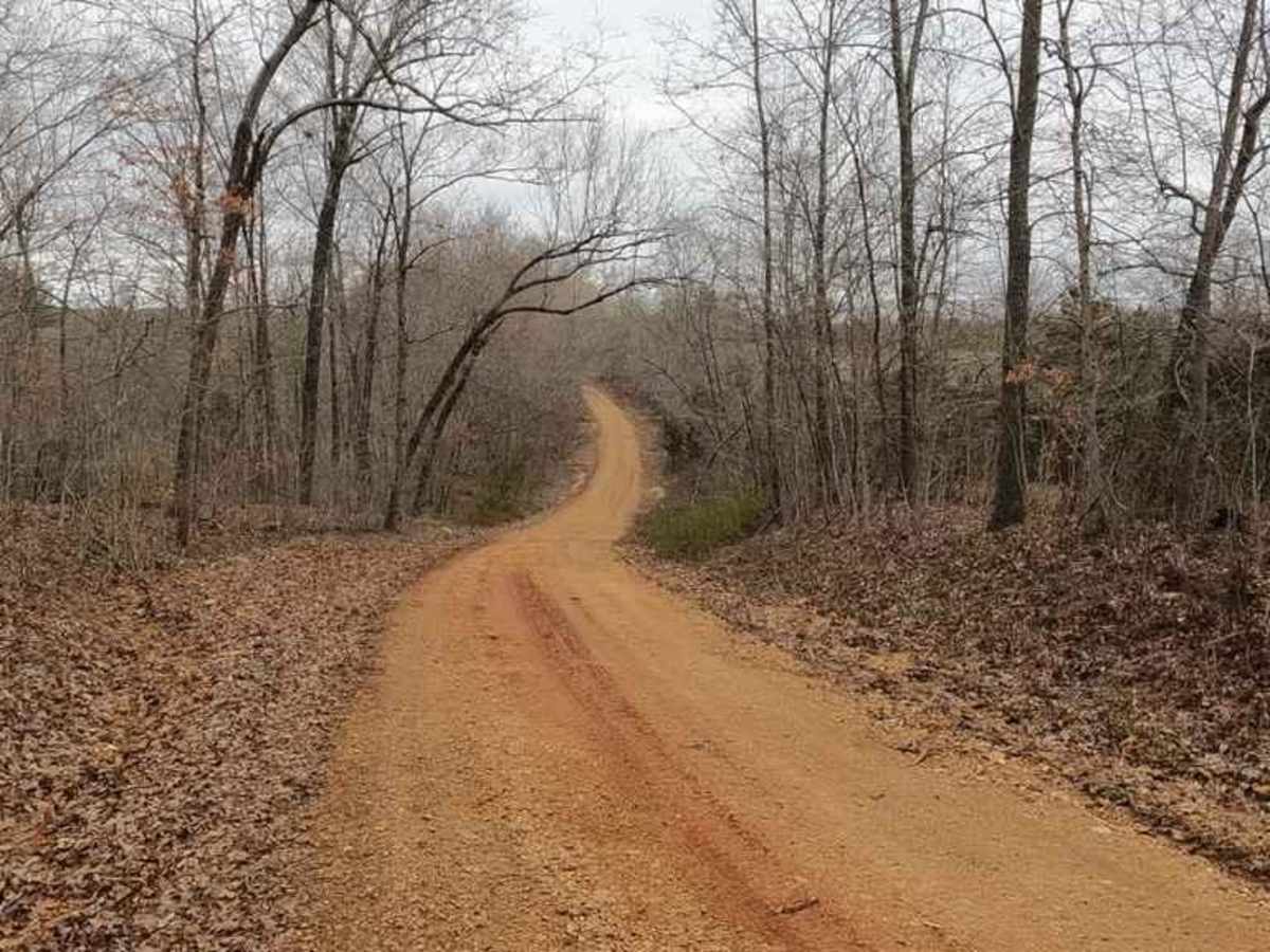 Bollinger County Road 878 photo 6