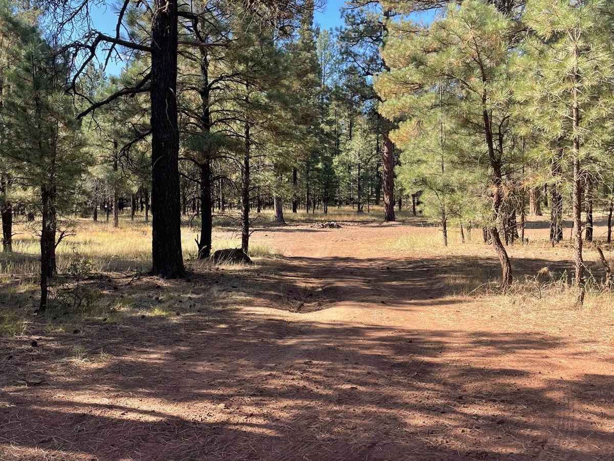 East FS 229 photo 5