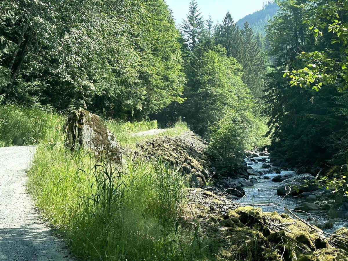 Canyon Creek Road photo 3