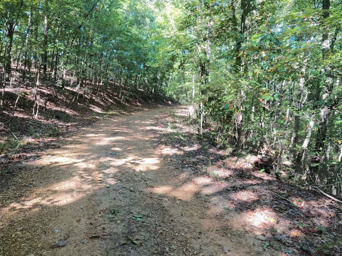 Mays Hollow Road - FS 343 photo 3