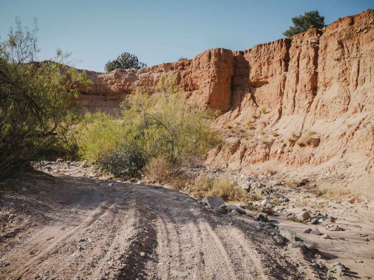 Cottonwood Loop #509 trail photo
