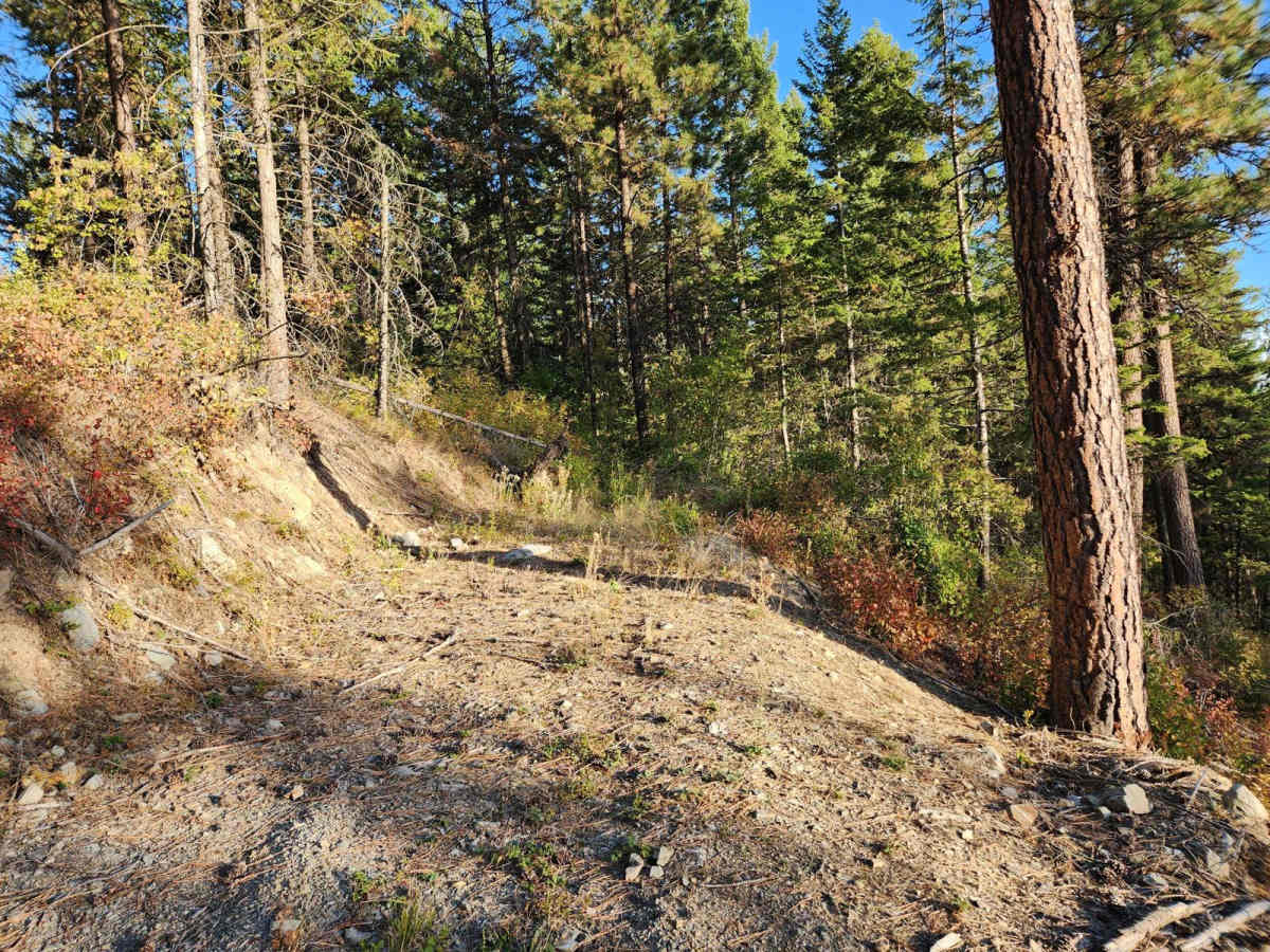 Solomon Mountain photo 6