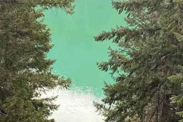 McCloud River 38N53