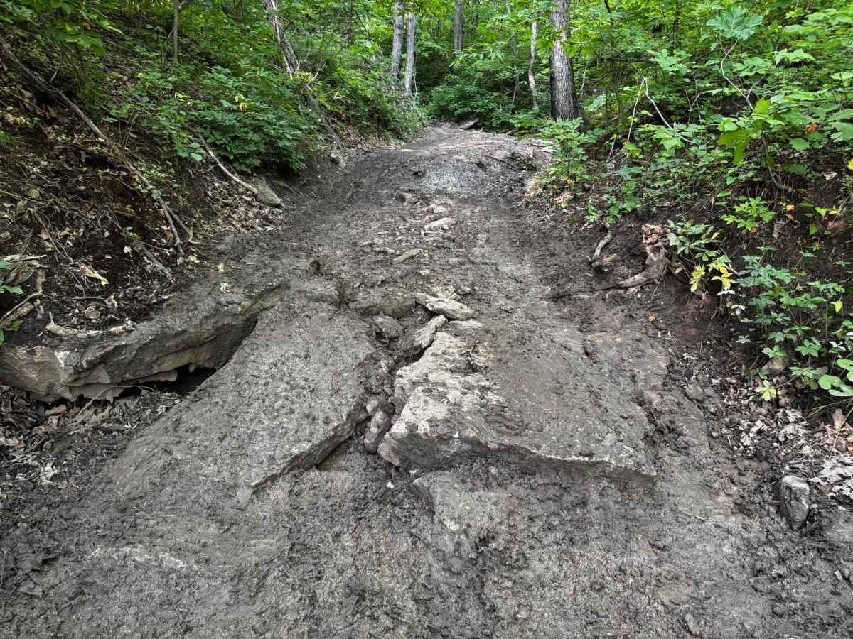 Rattleback 80 photo 2
