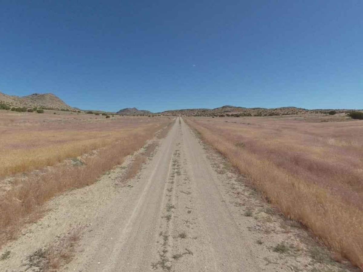 Conger Mountain OHV Route 3 photo 4