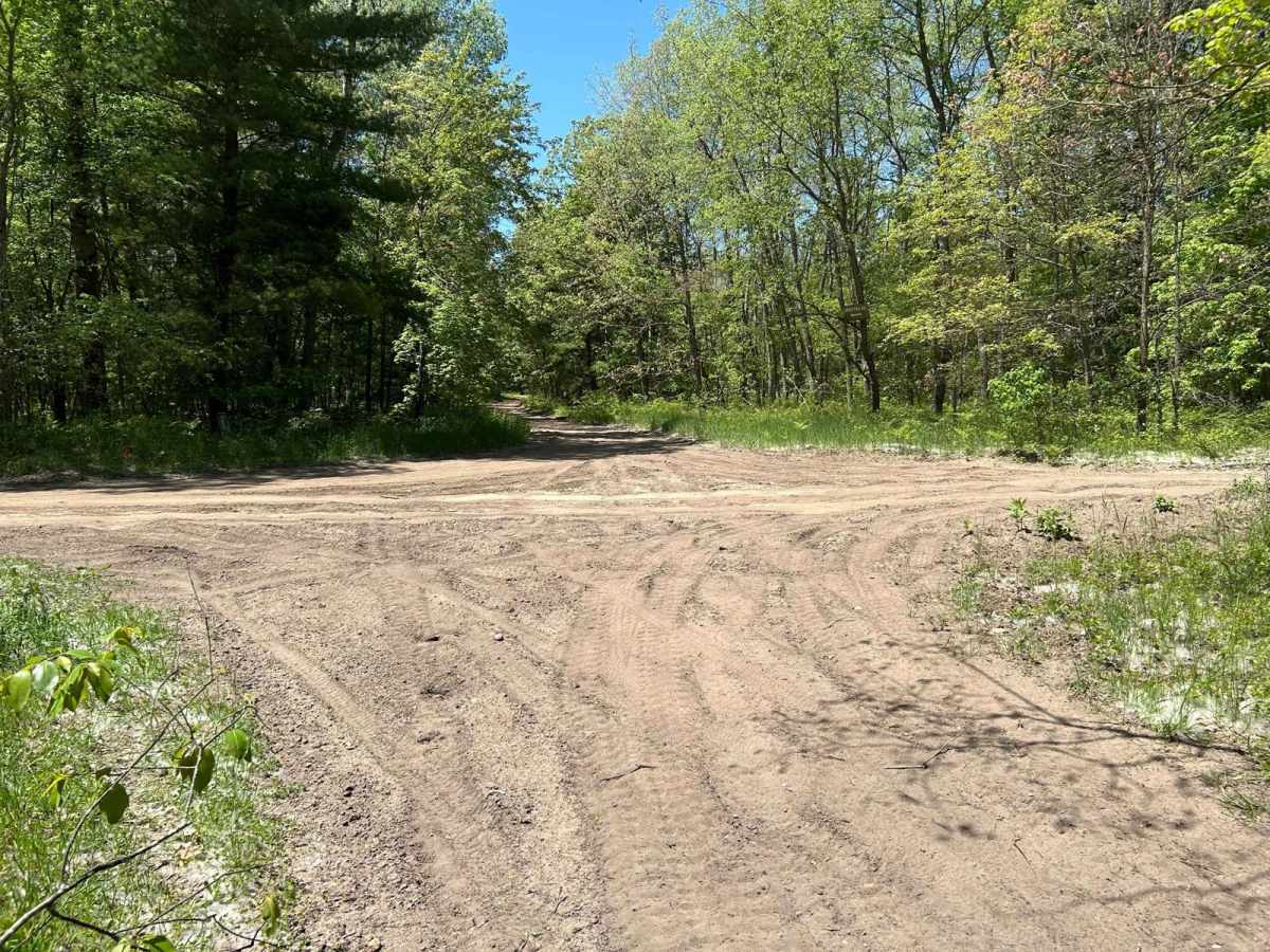 Forest Road 5298 photo 2
