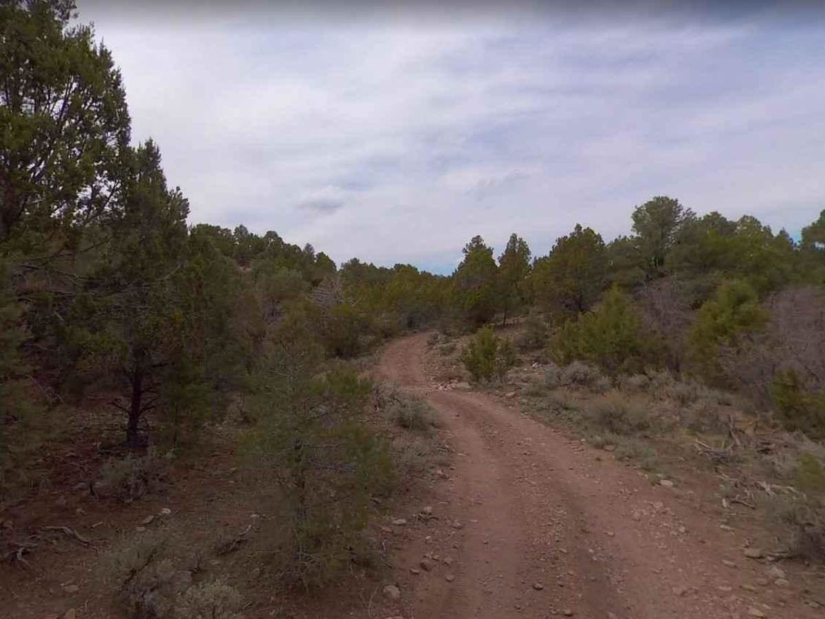Water Canyon-FR30002 photo 2