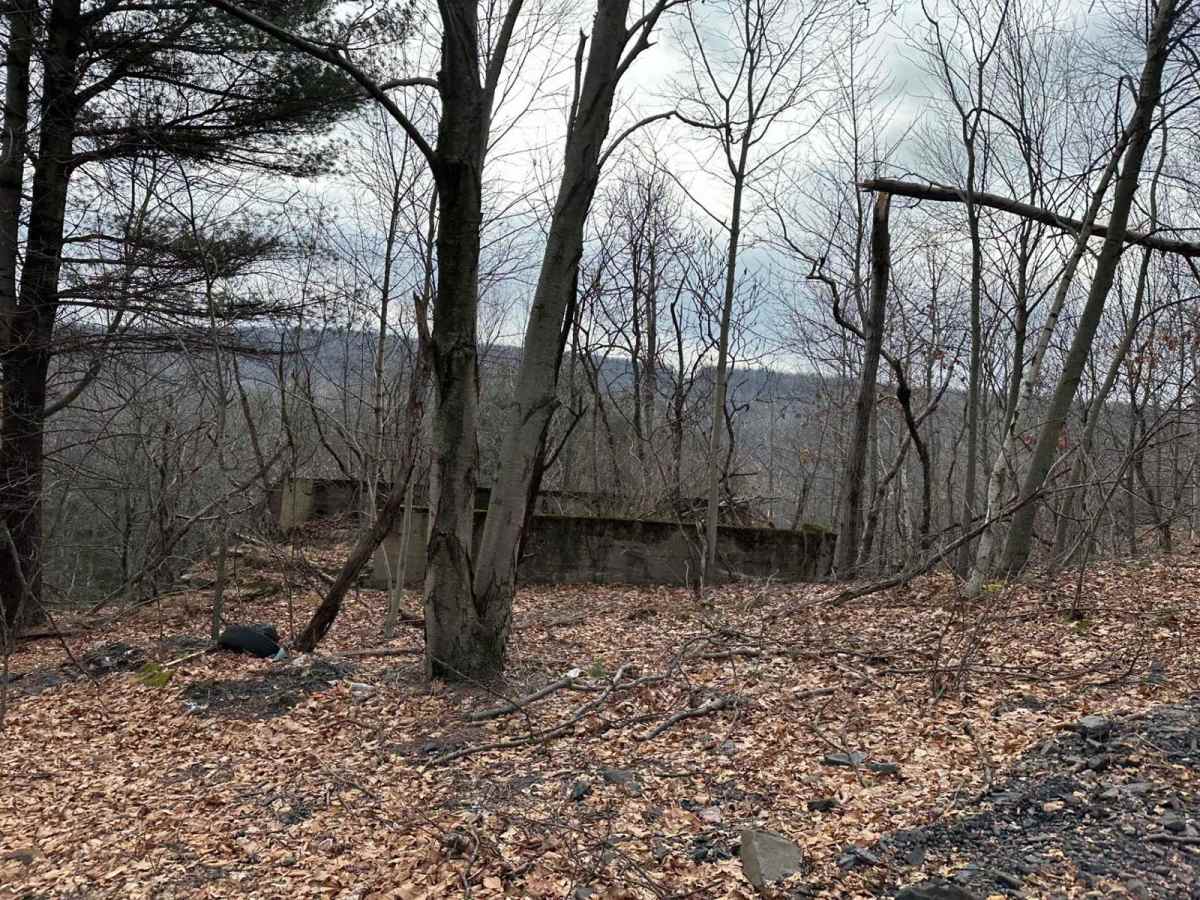 Locust Gap 8 photo 6