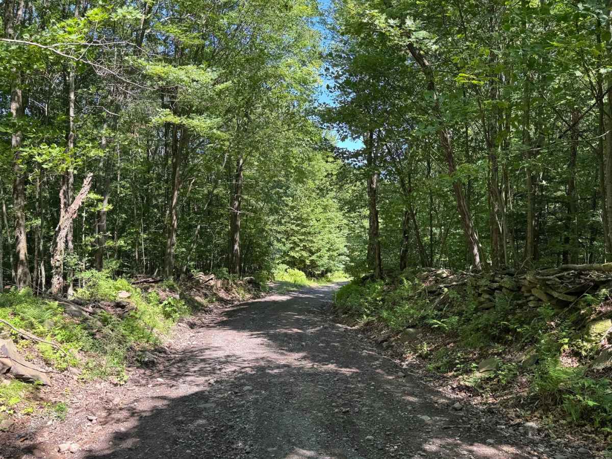 Townsend Hollow Road trail photo