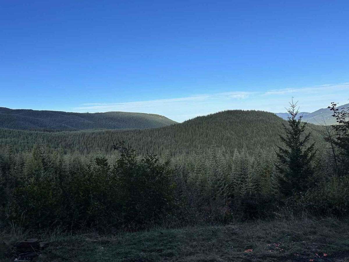 Forest Lake Rd 7222 photo 5