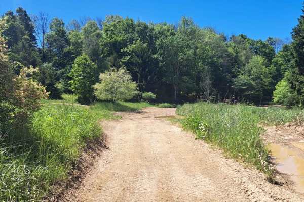 Jones Town Trail