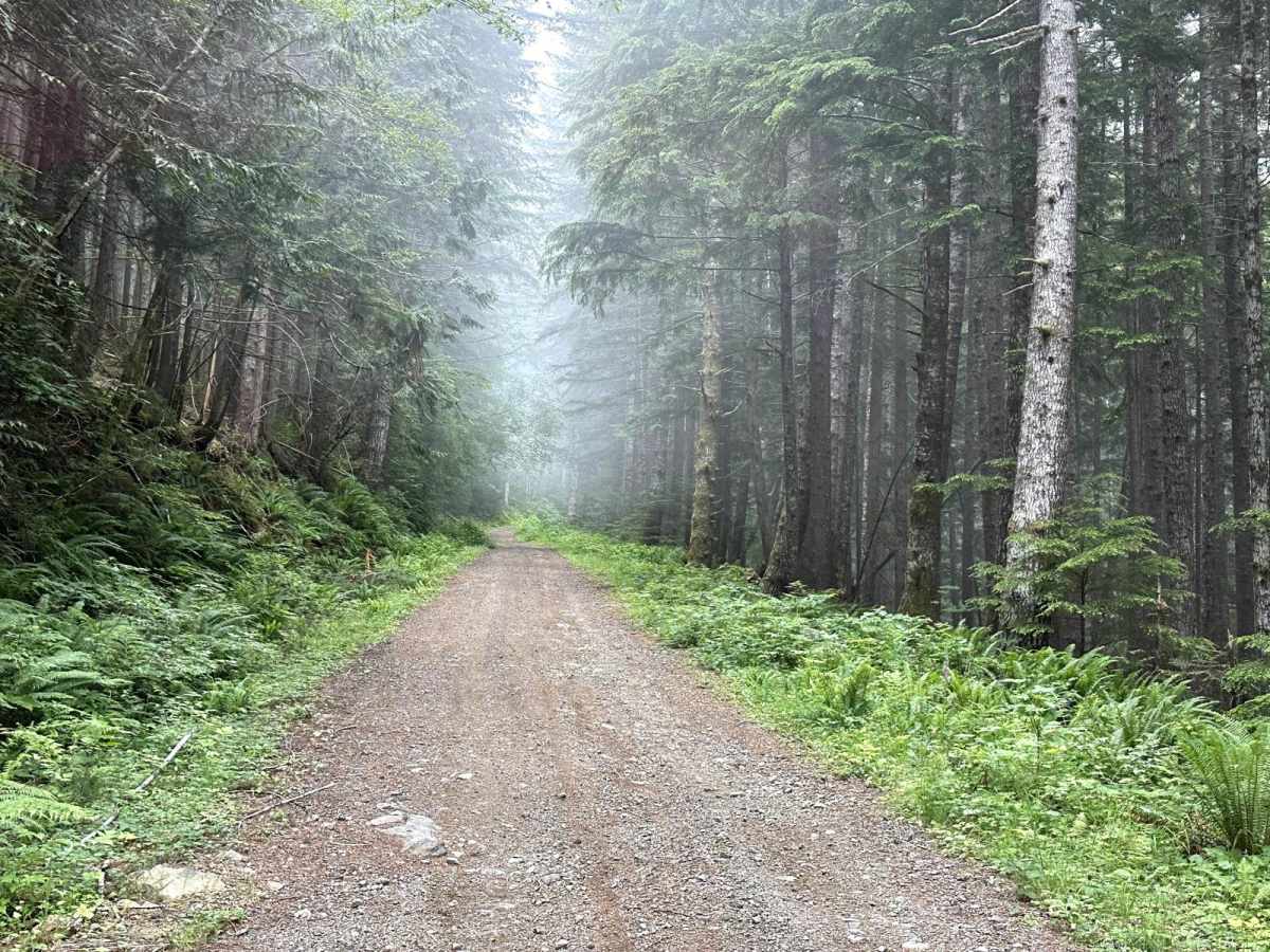 Church Creek Area Trail photo 3