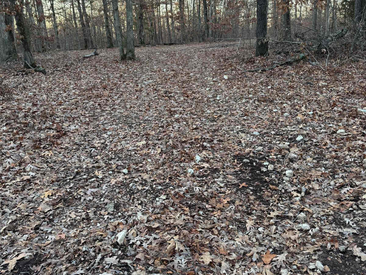 Green 318 trail photo