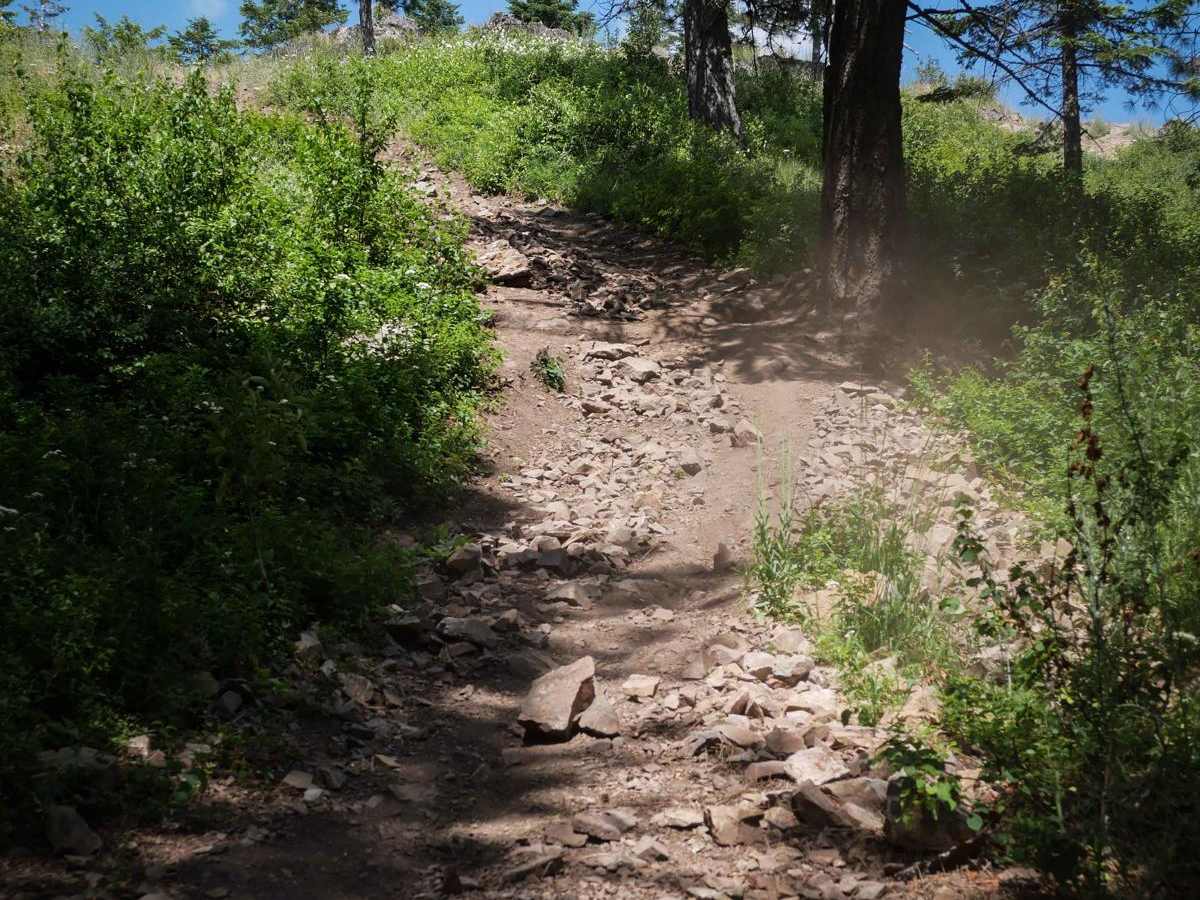 Canfield Mountain- Trail 1 photo 2