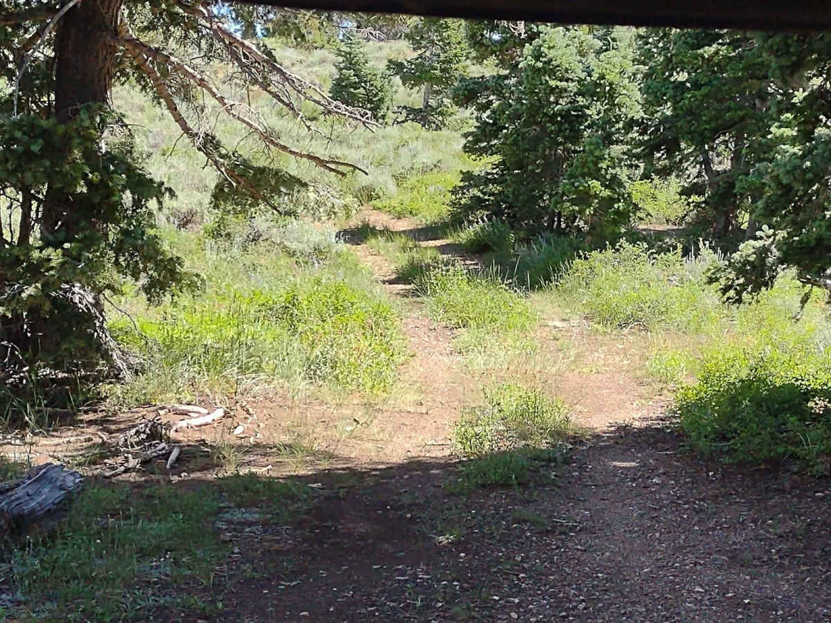 Cottonwood Canyon Overlook photo 5