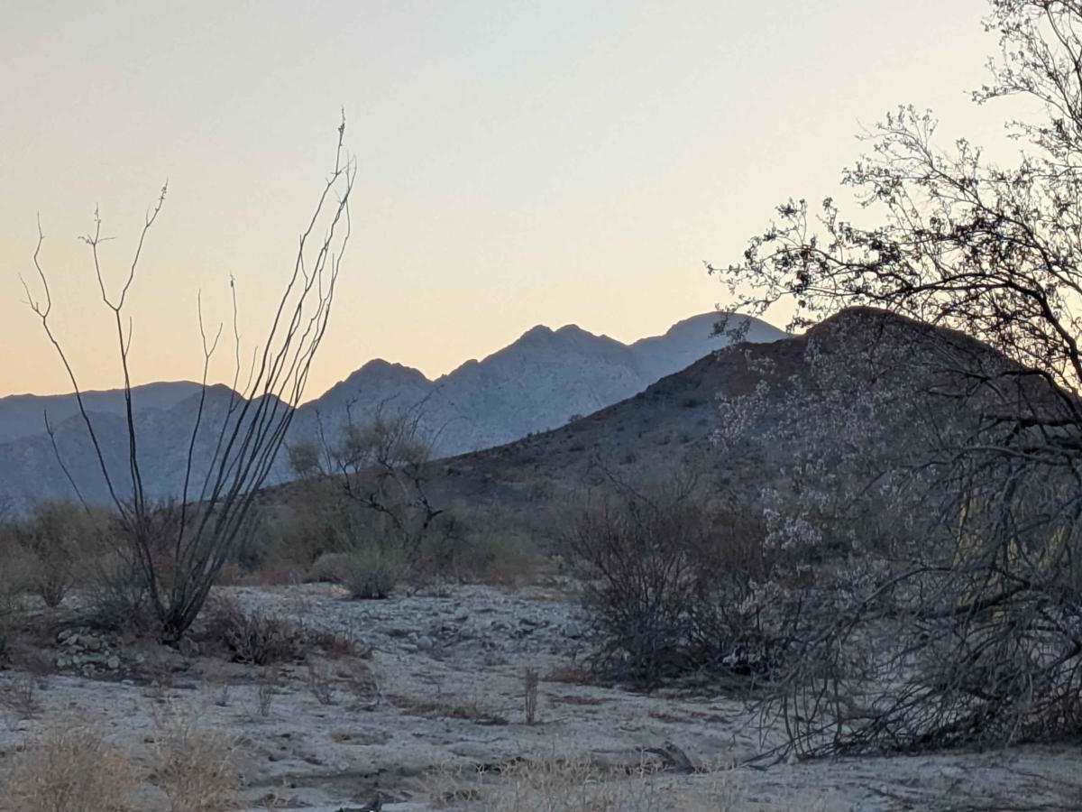 Subida Ocotillo photo 3