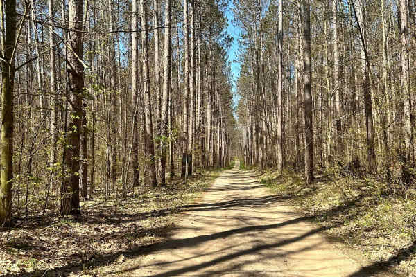 Cadillac Area ORV/OHV Scenic Ride - Part 14