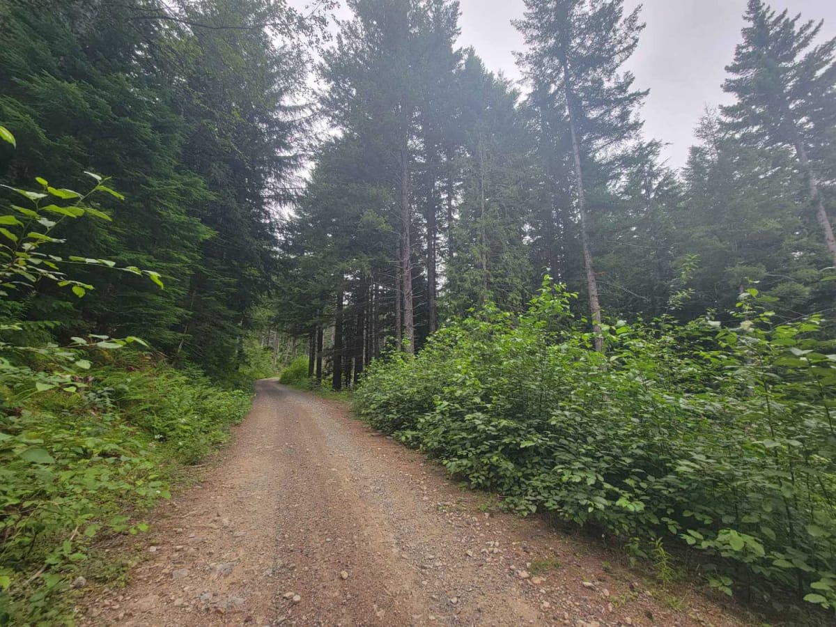 Mesatchee Creek Offroad Trail photo 3