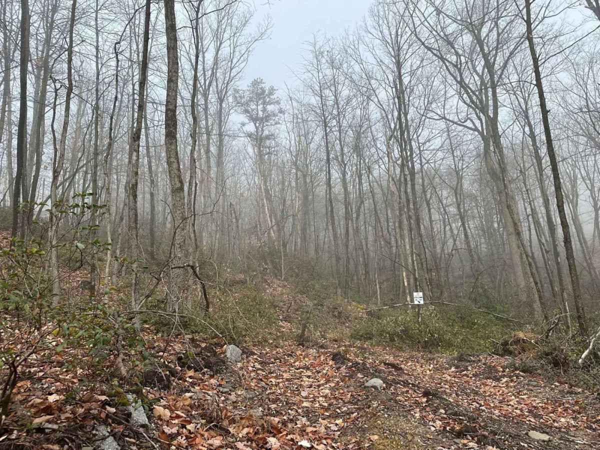 Darkwater 109 photo 2