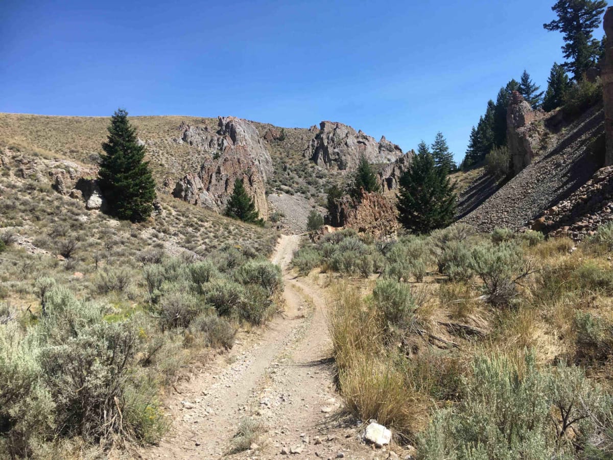Middle Fork Pass Creek Trail photo 5