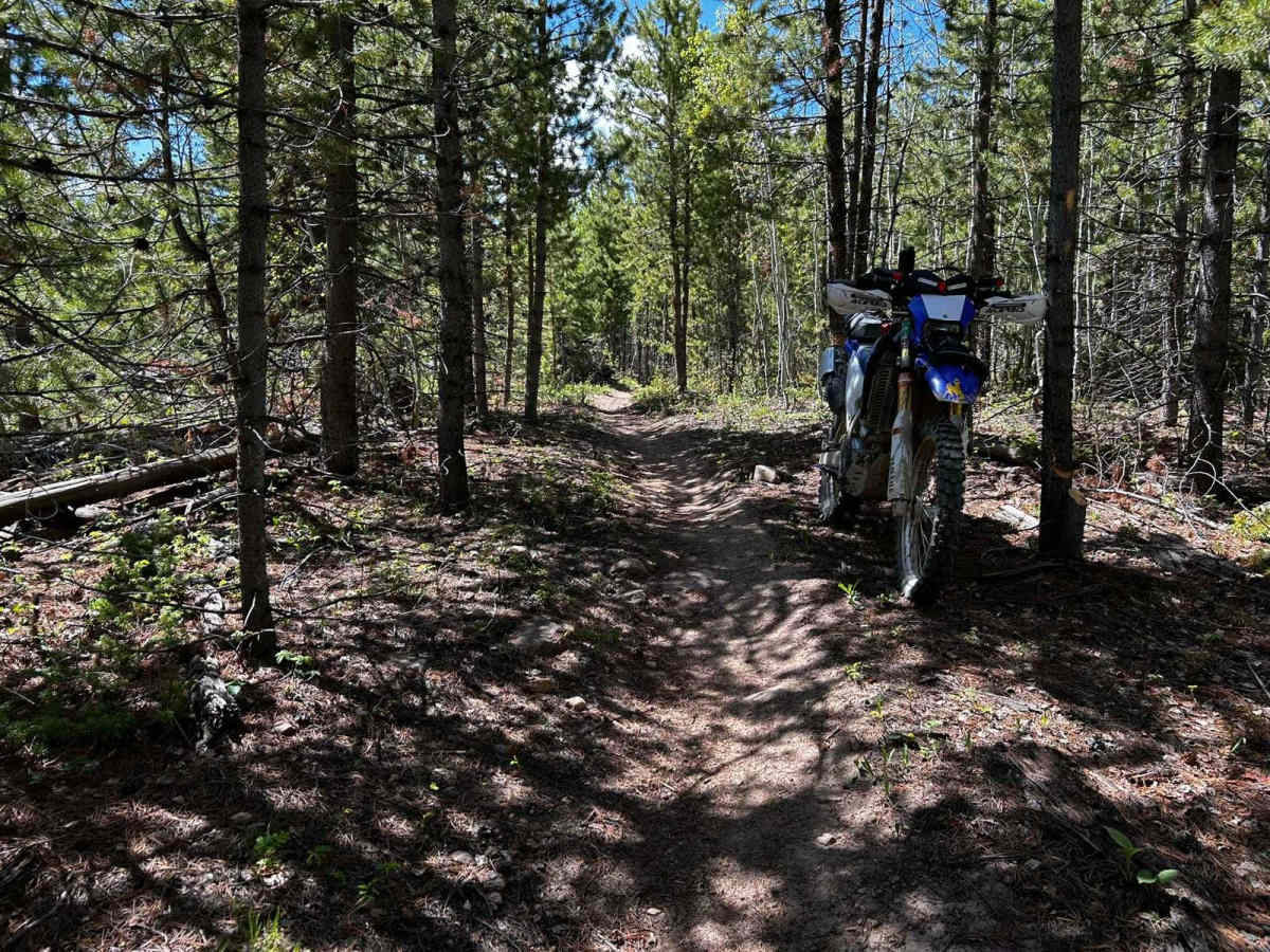 Synder Creek Loop Northwest trail photo