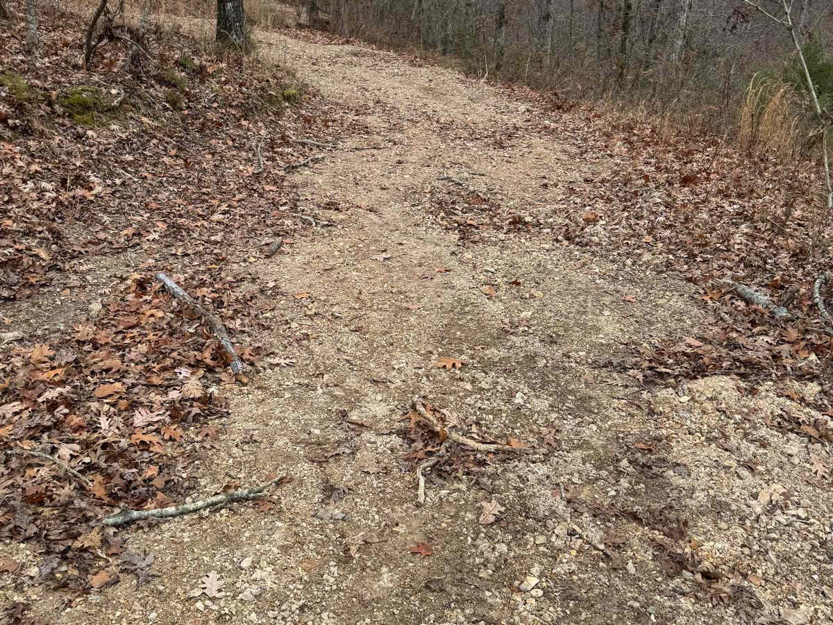 Green 281 trail photo