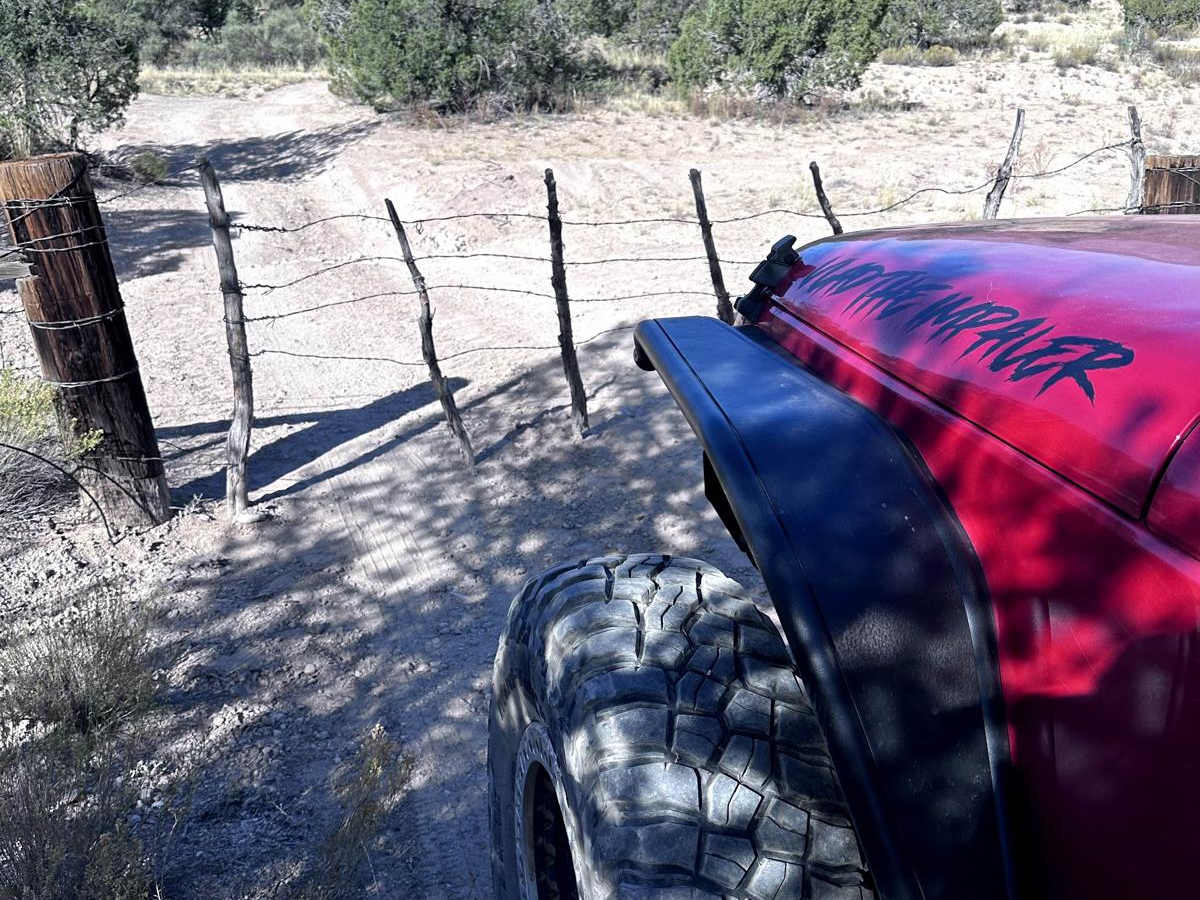 Skeleton Bones Trail photo 2