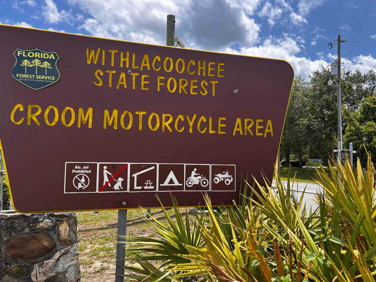 Croom ORV Park trail photo