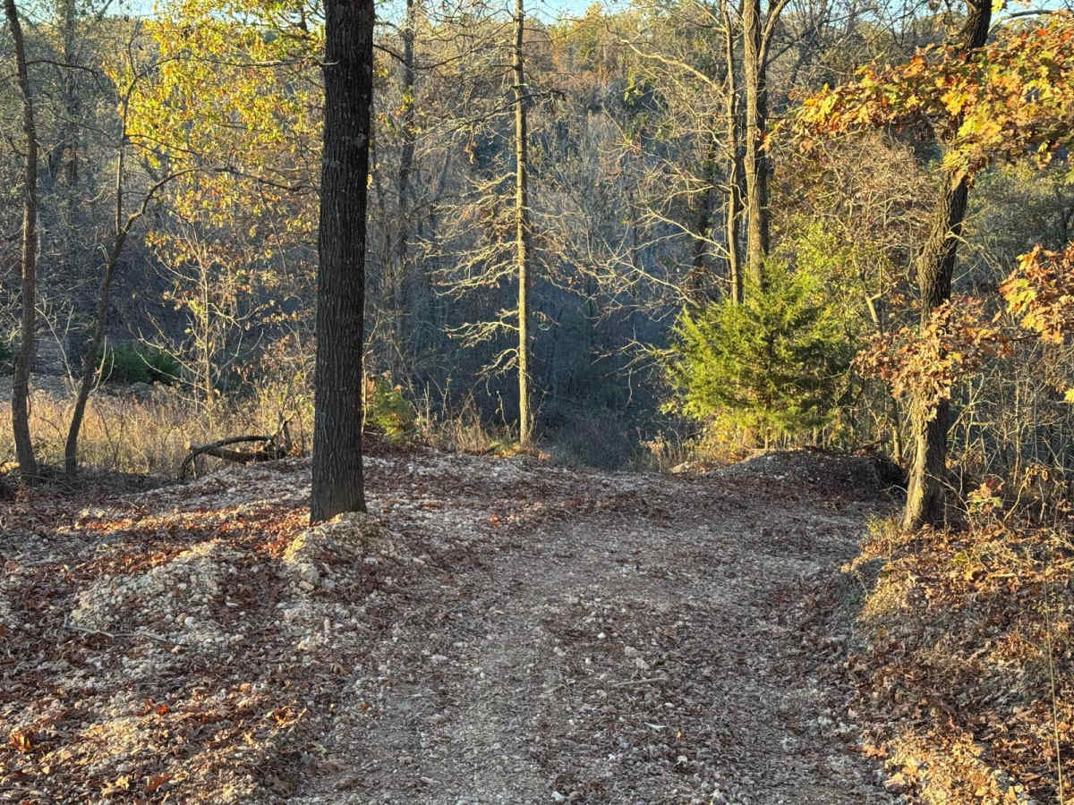 Green 155 trail photo