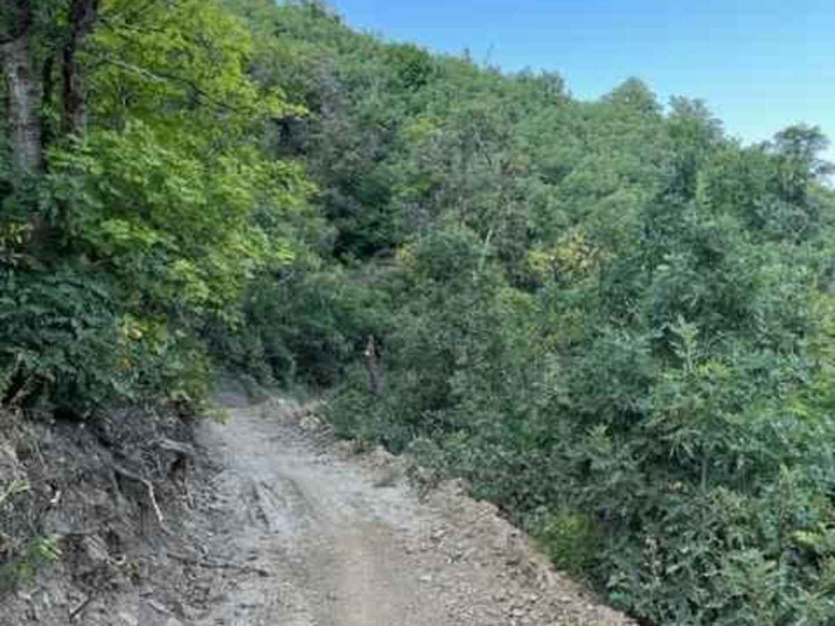 Skyline South (6002) photo 5