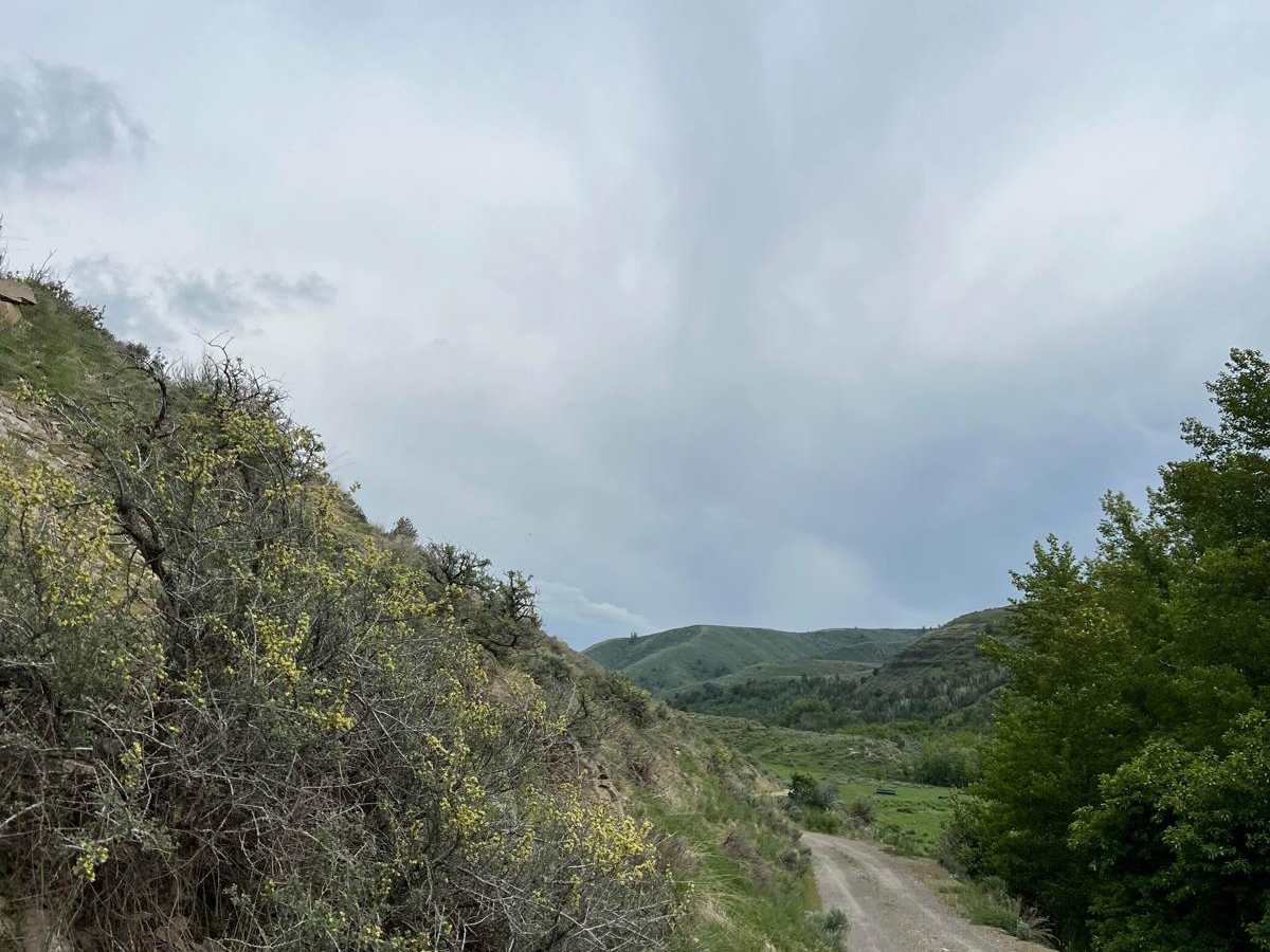 Green Canyon photo 4