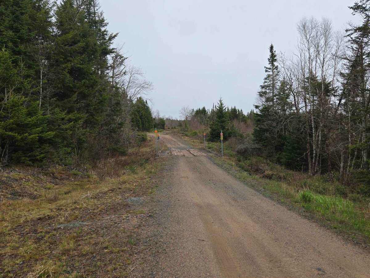Totten Meadow Trail photo 5