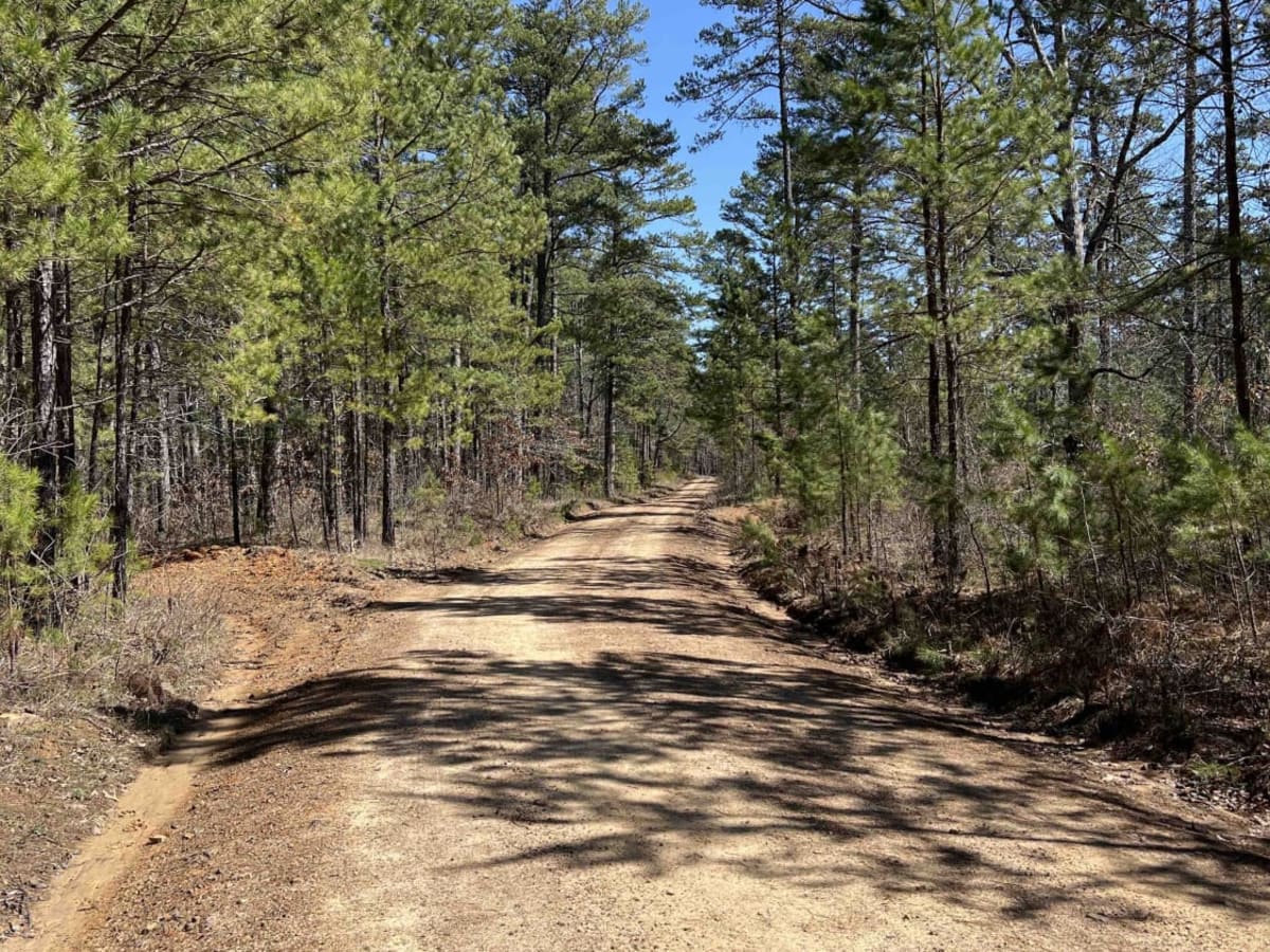 Cove Creek Lake/Link Mountain Road 210 photo 4