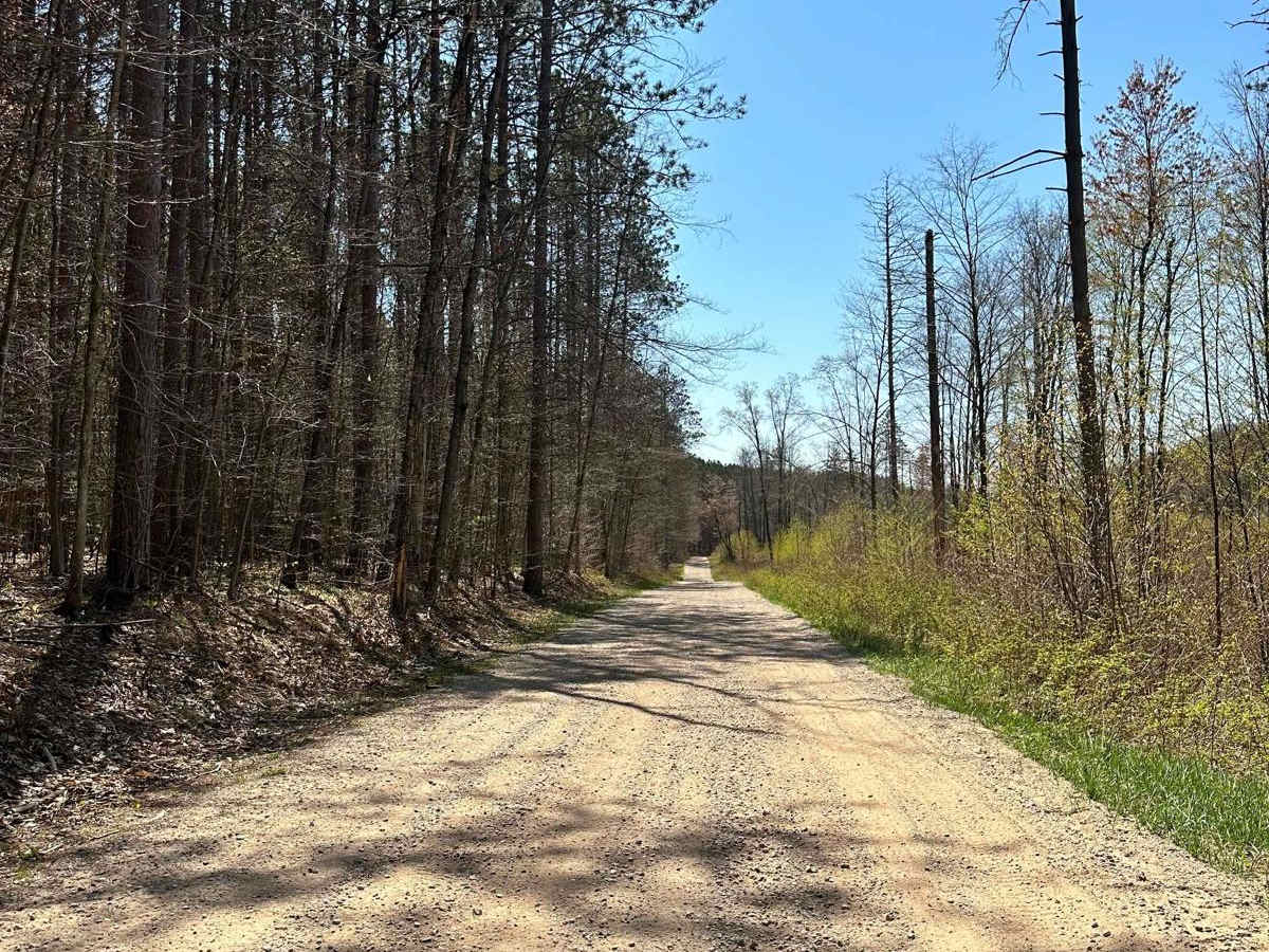 Cadillac Area ORV/OHV Scenic Ride - Part 15 photo 3