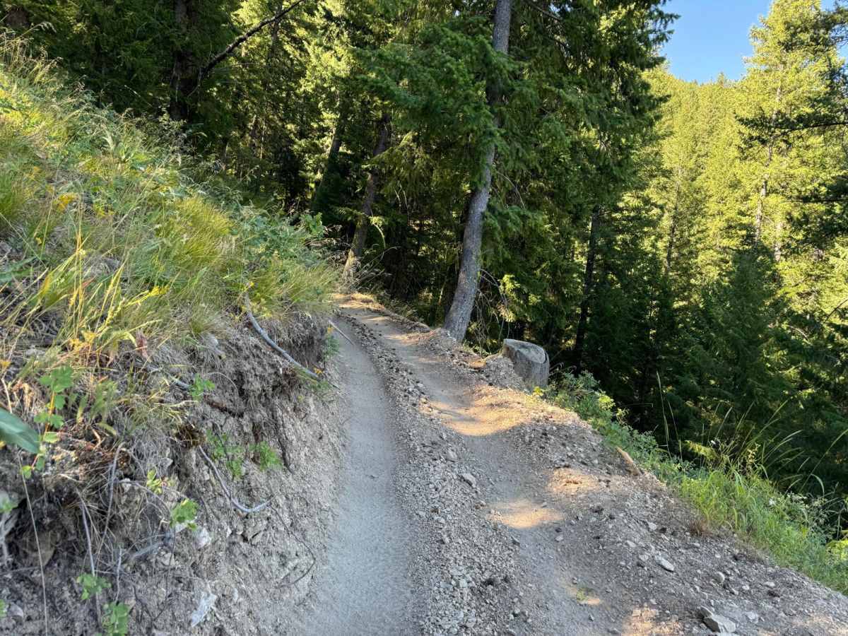 West Fork of Kelly Creek (Trail 7038) photo 2