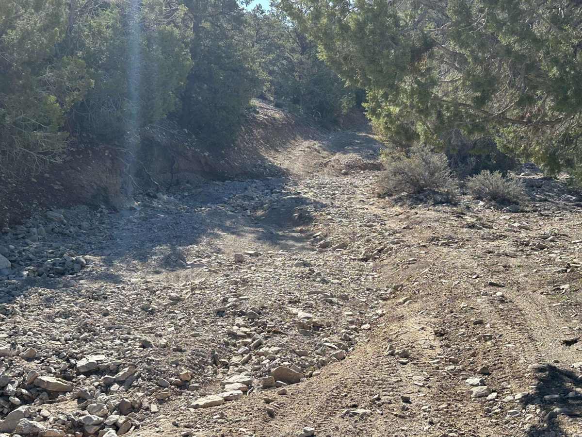 West Mountain Peak Road trail photo