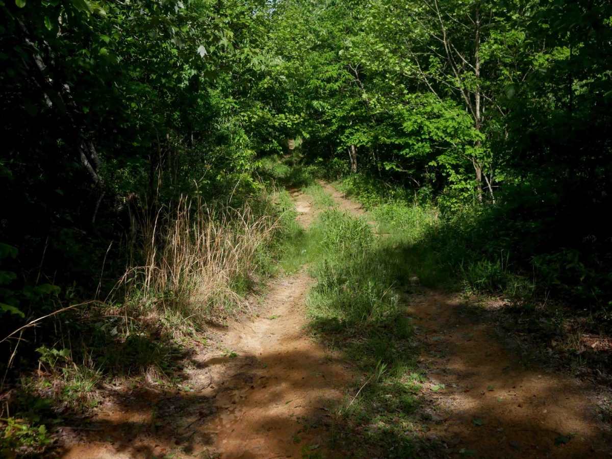 RV20 photo 5