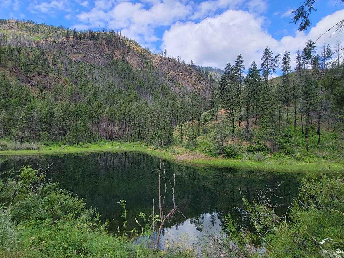 Sinlahekin Road photo 5