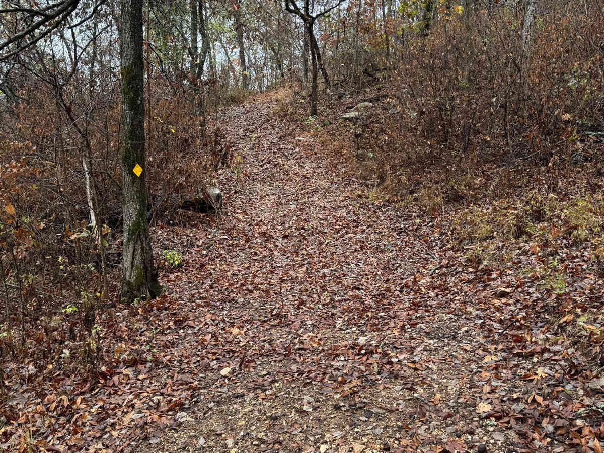 Yellow 77 trail photo