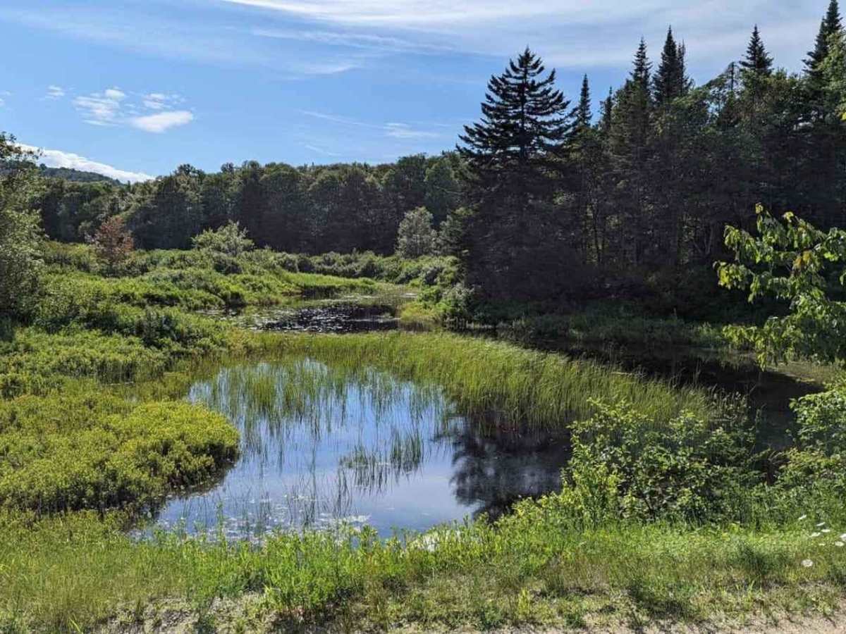 Old Forge Backcountry 1 photo 3