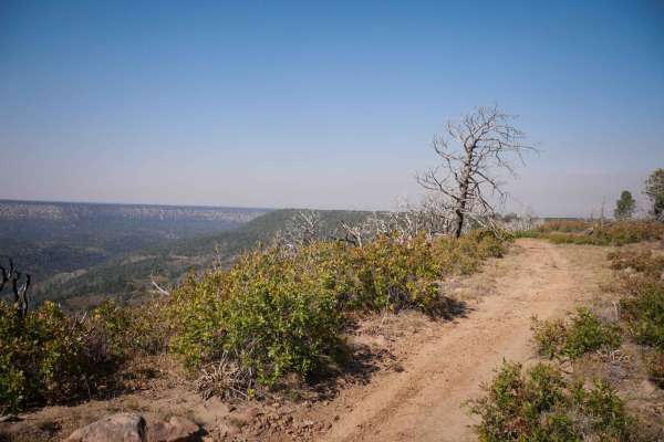Spring Creek Spur A ATV Trail