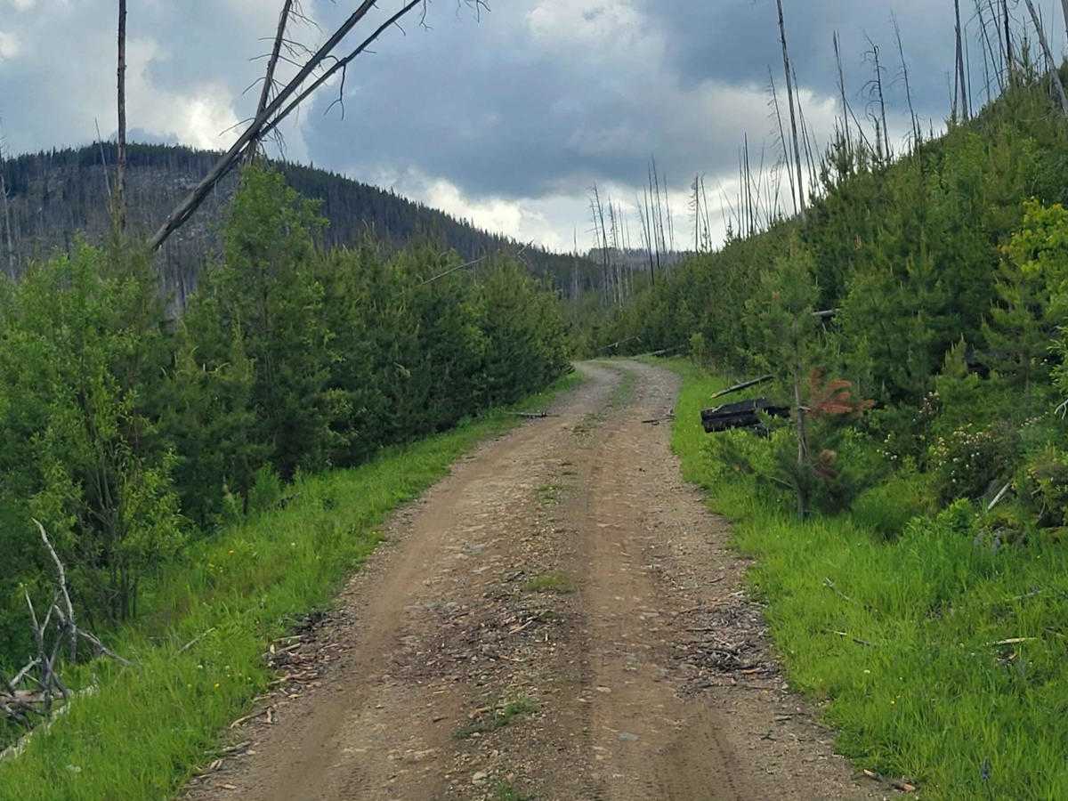 Southern Toats Coulee Road photo 4